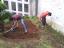 Os alunos preparam a terra para receber a sementeira e retiram ervas daninhas.
